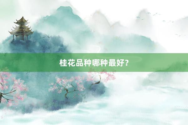 桂花品种哪种最好?
