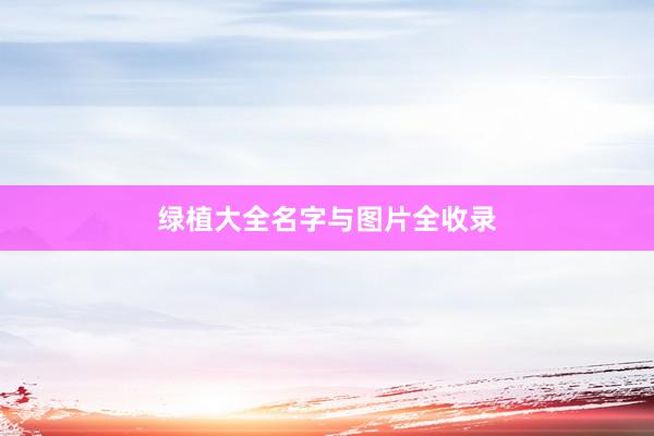 绿植大全名字与图片全收录