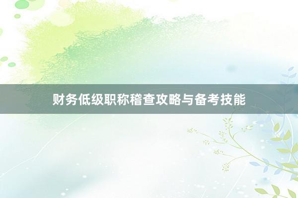 财务低级职称稽查攻略与备考技能