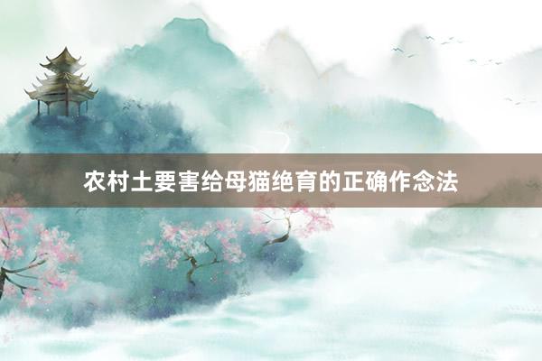 农村土要害给母猫绝育的正确作念法