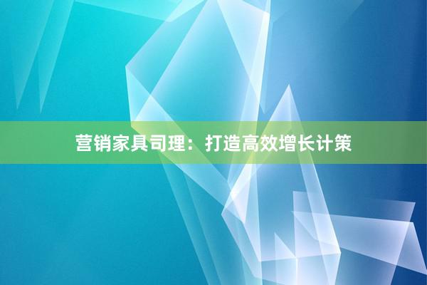 营销家具司理：打造高效增长计策
